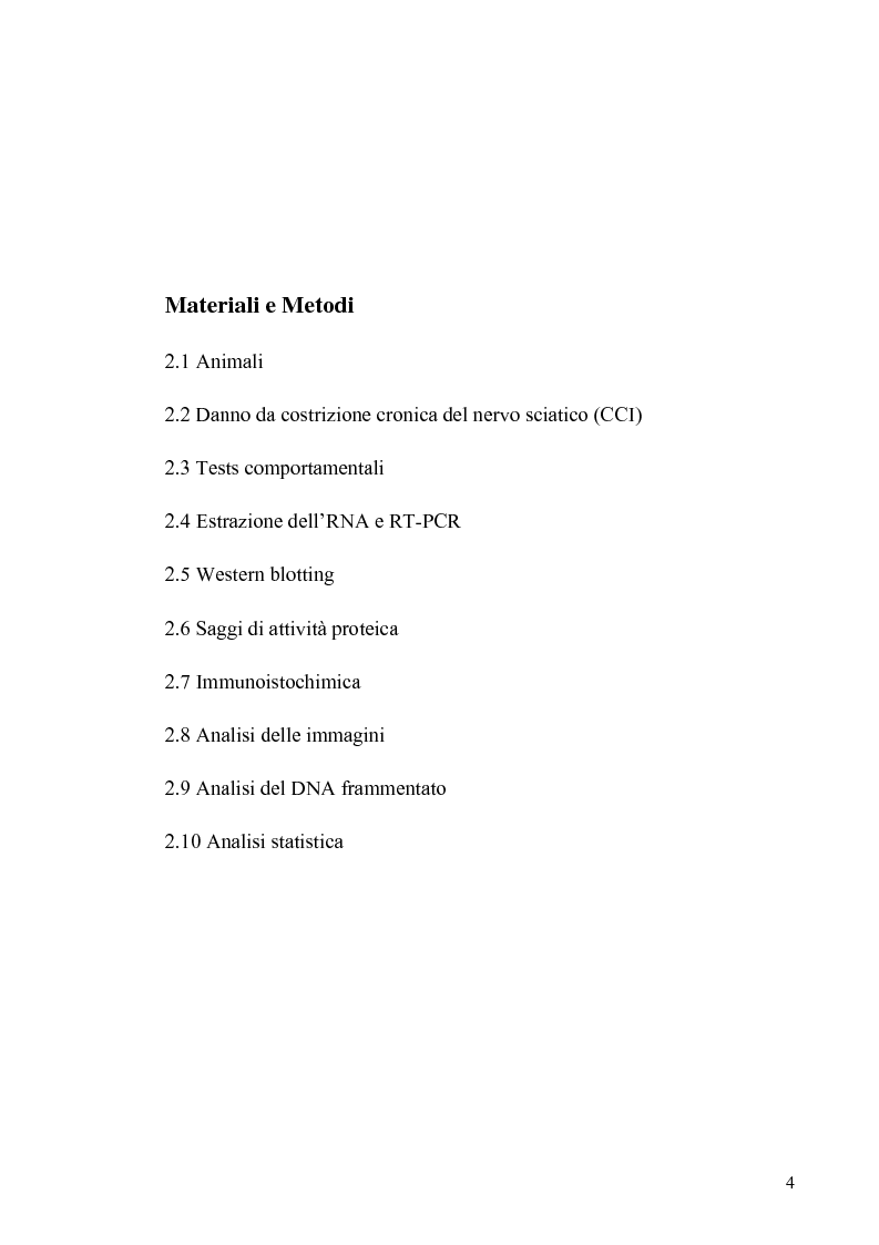Indice della tesi: Recettori metabotropici mGlu5 del glutammato e apoptosi neuronale in un modello di dolore neuropatico nel ratto, Pagina 2