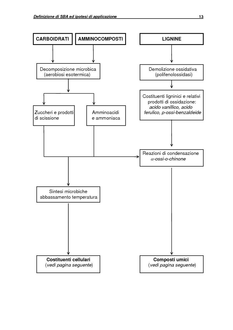 Anteprima della tesi: Applicazione di tecniche di biostabilizzazione alla frazione organica di rifiuti solidi urbani: bilancio economico ed ambientale in due diversi scenari gestionali, Pagina 13