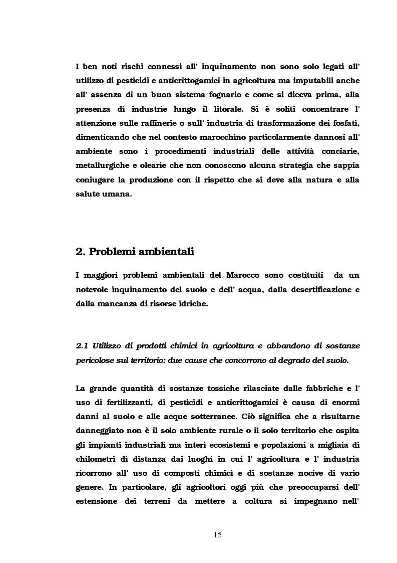 Anteprima della tesi: Problematiche e politiche ambientali nella Grande regione maghrebina, Pagina 15
