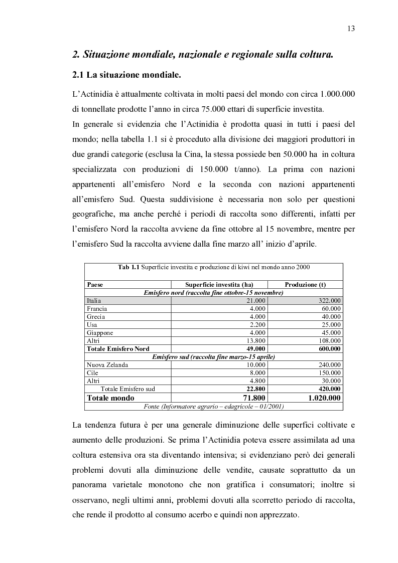 Anteprima della tesi: Filiera produttiva dell'actinidia in Piemonte, Pagina 6