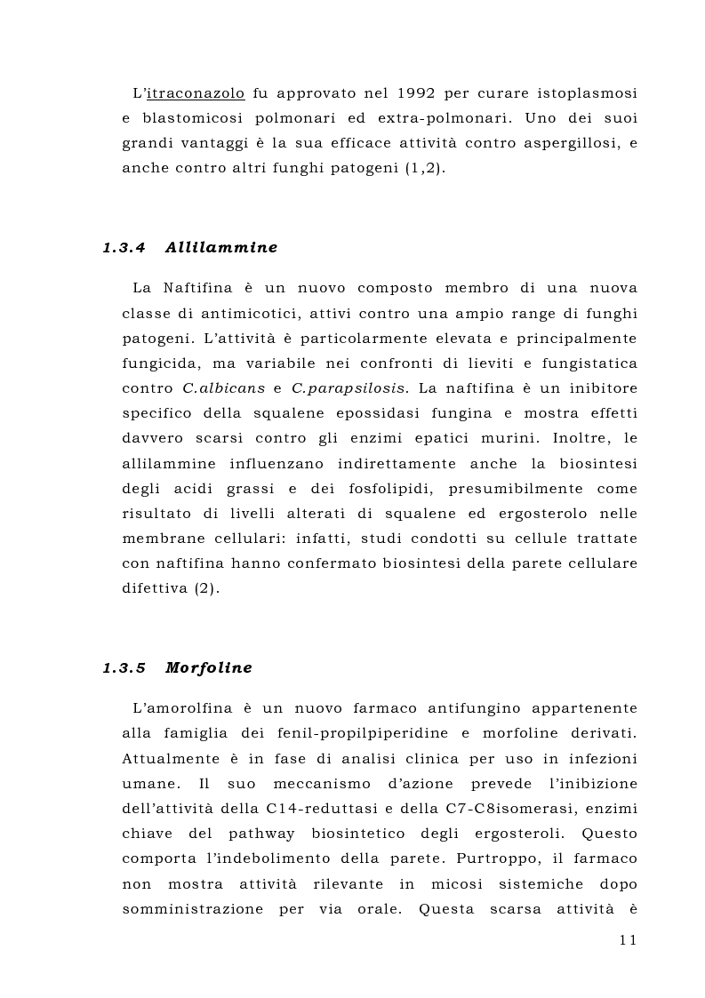 Anteprima della tesi: L’enzima Gas1p, potenziale bersaglio per antifungini: espressione dei singoli domini in Pichia pastoris e loro caratterizzazione, Pagina 11