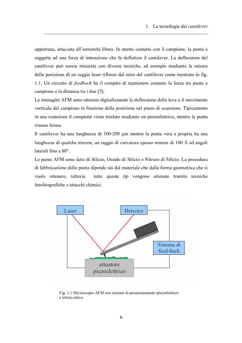Anteprima della tesi: Twin-cantilevers: un sistema innovativo per la rivelazione dell'ibridizzazione del DNA su singola molecola, Pagina 6