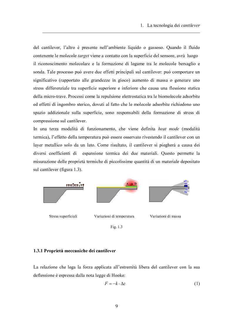 Anteprima della tesi: Twin-cantilevers: un sistema innovativo per la rivelazione dell'ibridizzazione del DNA su singola molecola, Pagina 9