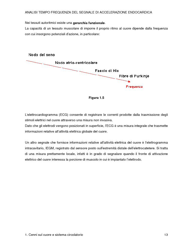 Anteprima della tesi: Analisi tempo-frequenza del segnale di accelerazione endocardica, Pagina 7