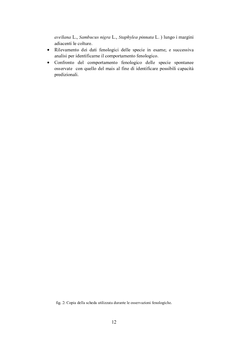 Anteprima della tesi: Fenologia e predittività di specie spontanee nel bosco Olmè di Cessalto (TV) in rapporto a Zea mays L., Pagina 5