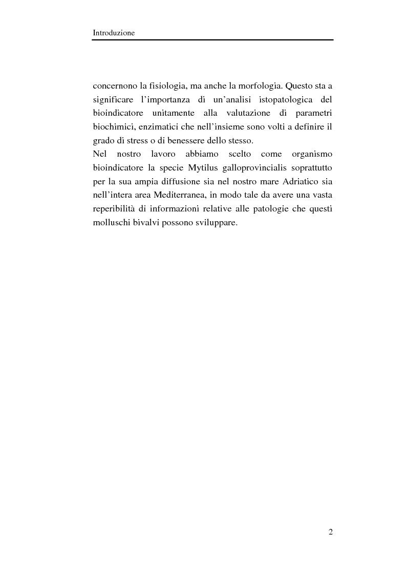 Anteprima della tesi: Importanza della diagnosi istopatologica nei molluschi bivalvi marini, Pagina 2