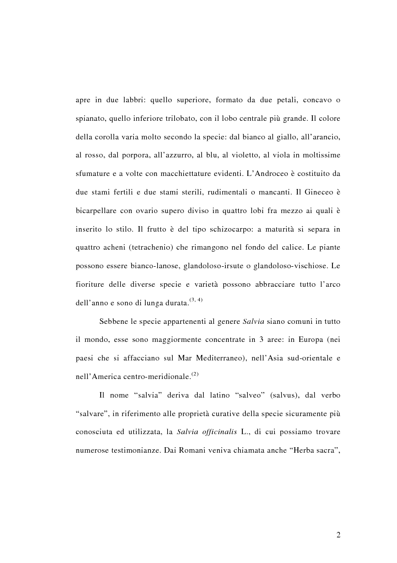 Anteprima della tesi: Salvia miltiorrhiza: aspetti botanici, fitochimici e biologici, Pagina 2