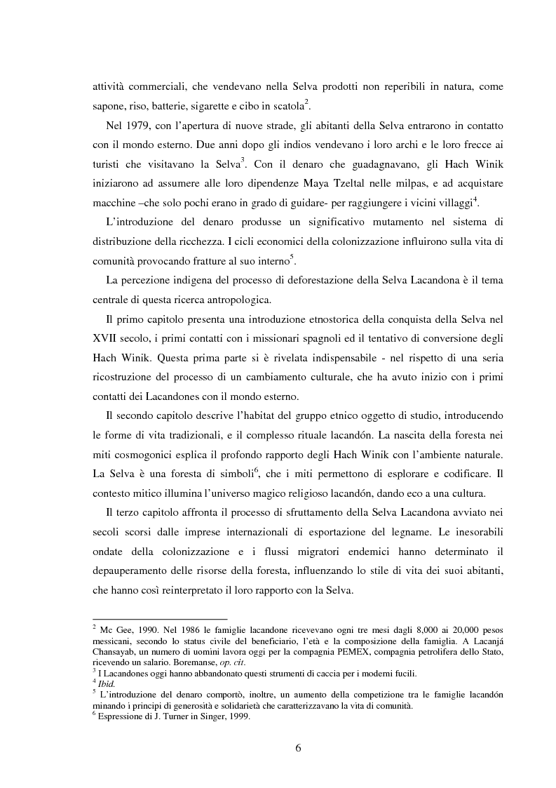 Anteprima della tesi: Gli Indios e la Foresta. Sguardi indigeni sul processo di deforestazione della Selva Lacandona, Pagina 2