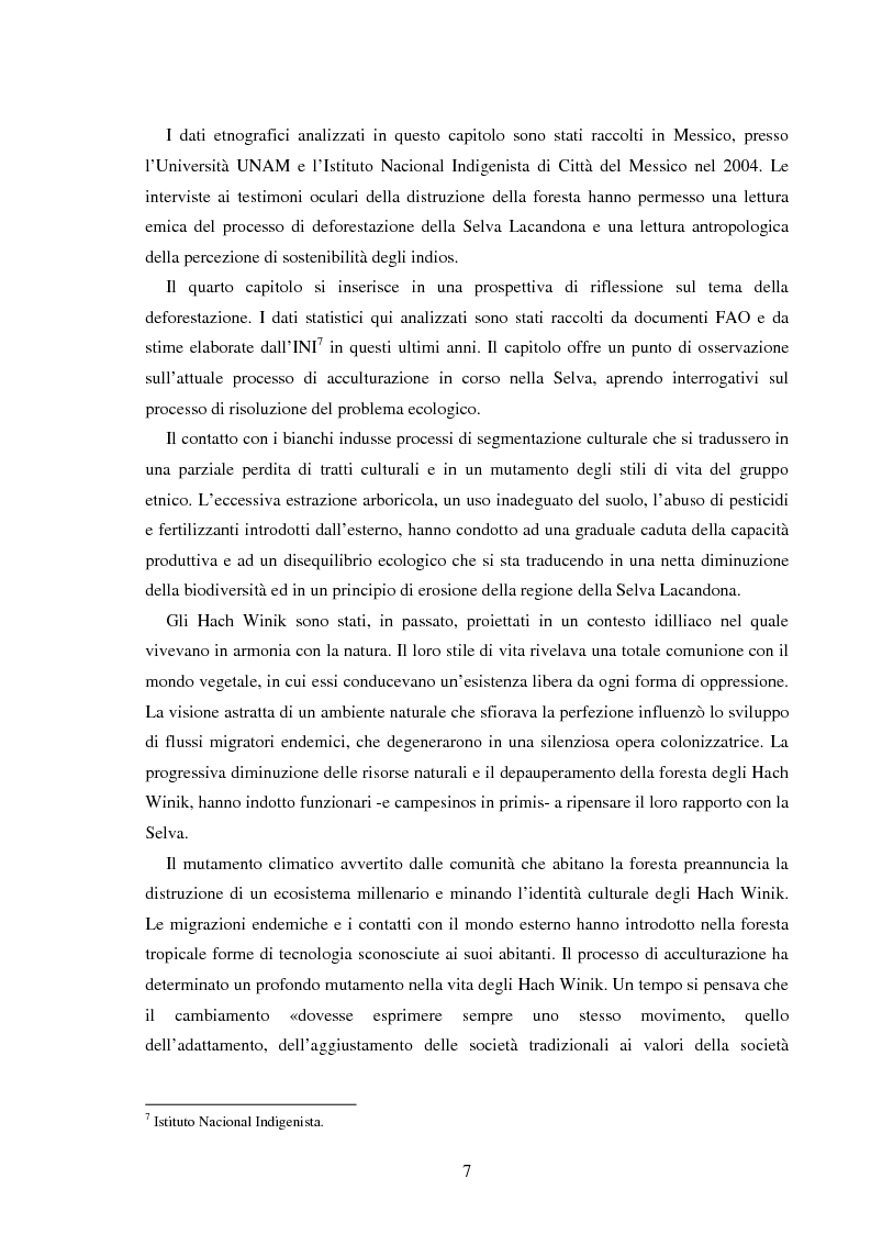 Anteprima della tesi: Gli Indios e la Foresta. Sguardi indigeni sul processo di deforestazione della Selva Lacandona, Pagina 3