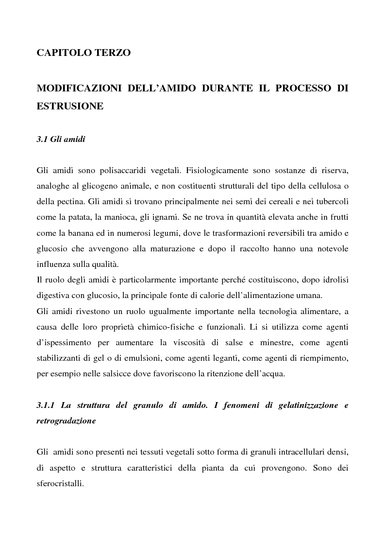 Anteprima della tesi: Tecnologie di produzione per estrusi alimentari, Pagina 6