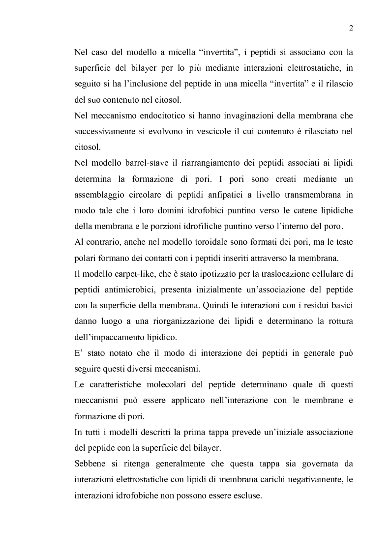 Anteprima della tesi: Un nuovo peptide naturale (Kfp) in grado di formare canali ionici in membrane lipidiche planari di fosfatidilcolina, Pagina 2