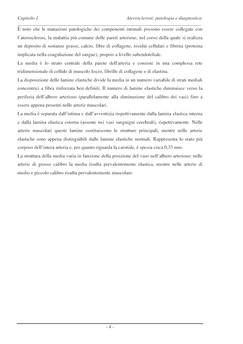 Anteprima della tesi: Analisi di alcune tecniche di tromboendoarteriectomia (teac) carotidea attraverso un approccio di tipo interazione fluido-struttura (FSI), Pagina 3