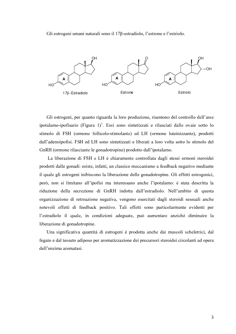 Anteprima della tesi: Sintesi di derivati amminotiazolici quali ligandi selettivi per il sottotipo beta del recettore degli estrogeni, Pagina 3