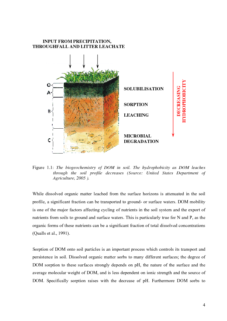 Anteprima della tesi: Mineralization of dissolved organic carbon (DOC) and nitrogen (DON) in the soil solution of different forested stands in Flanders, Pagina 8