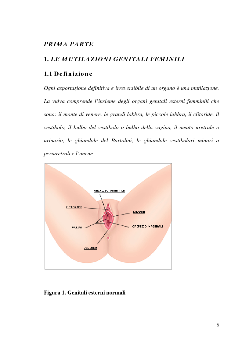 Anteprima della tesi: Mutilazioni genitali femminili: il ruolo dell'ostetrica, Pagina 4
