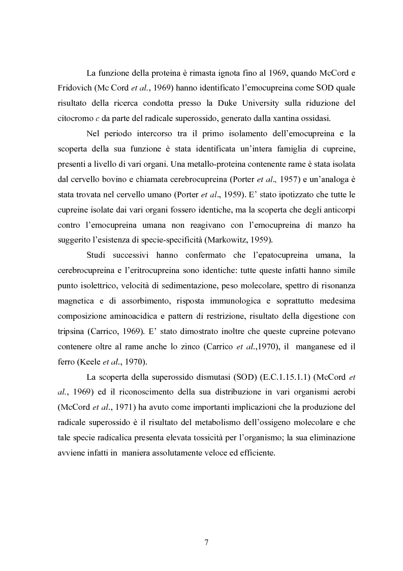 Anteprima della tesi: Studio in chemostato della produzione di superossidodismutasi con kluyveromices Marxianus, Pagina 2