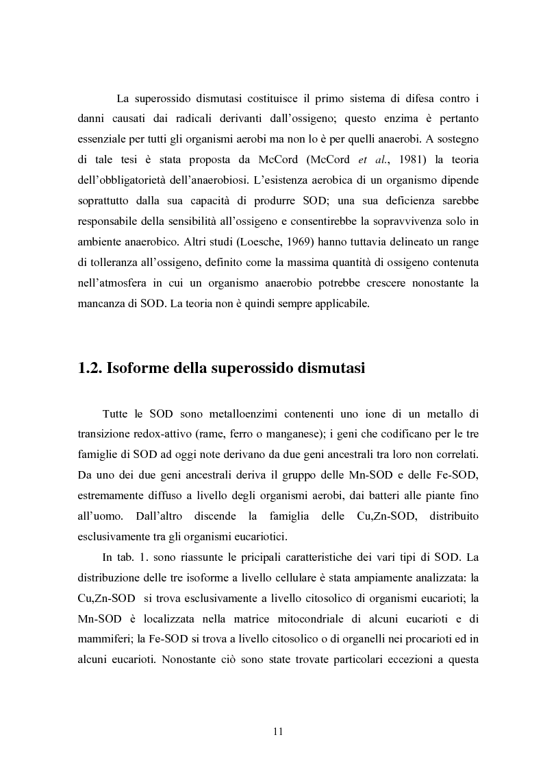 Anteprima della tesi: Studio in chemostato della produzione di superossidodismutasi con kluyveromices Marxianus, Pagina 6