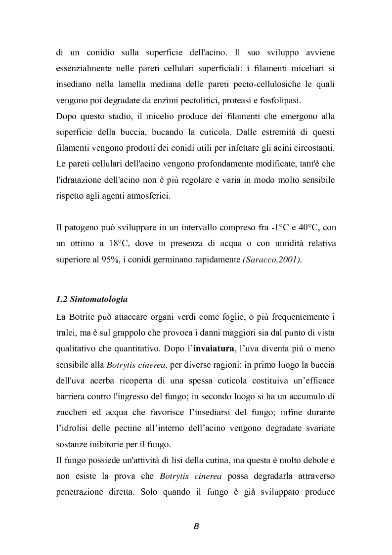Anteprima della tesi: Valutazione della qualità di uve Sangiovese mediante tecnica FT-IR, Pagina 3