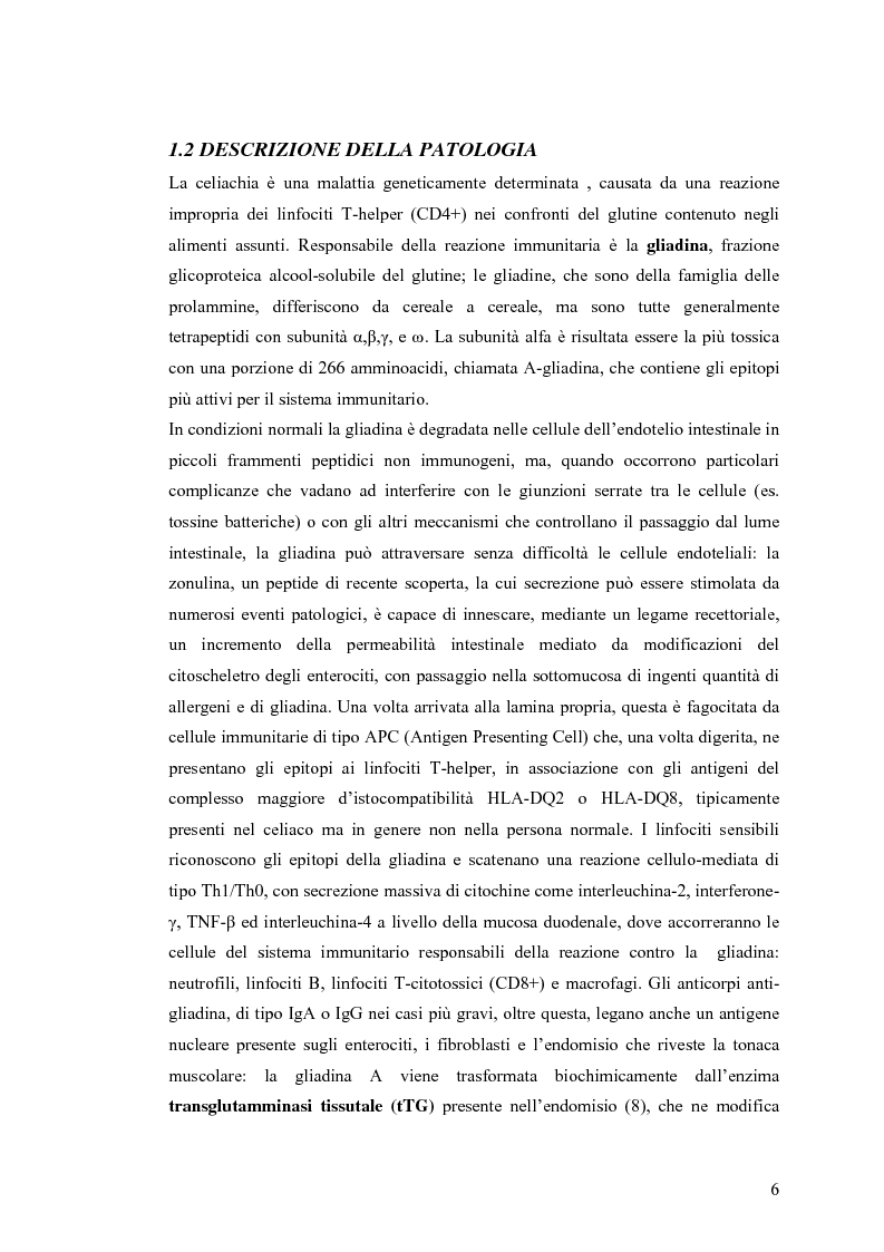 Anteprima della tesi: Metodi usati in laboratorio per la diagnosi della malattia celiaca, Pagina 3