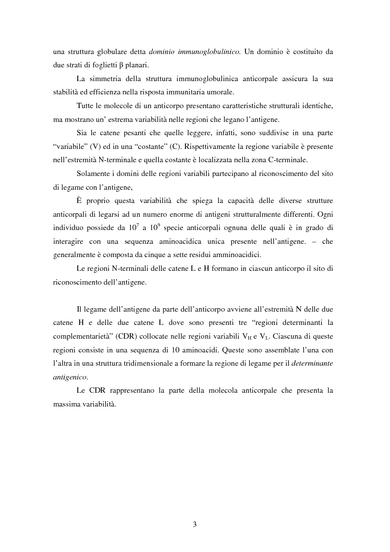 Anteprima della tesi: Produzione di anticorpi monoclonali con scopi diagnostici in ambito veterinario ed alimentare, Pagina 3