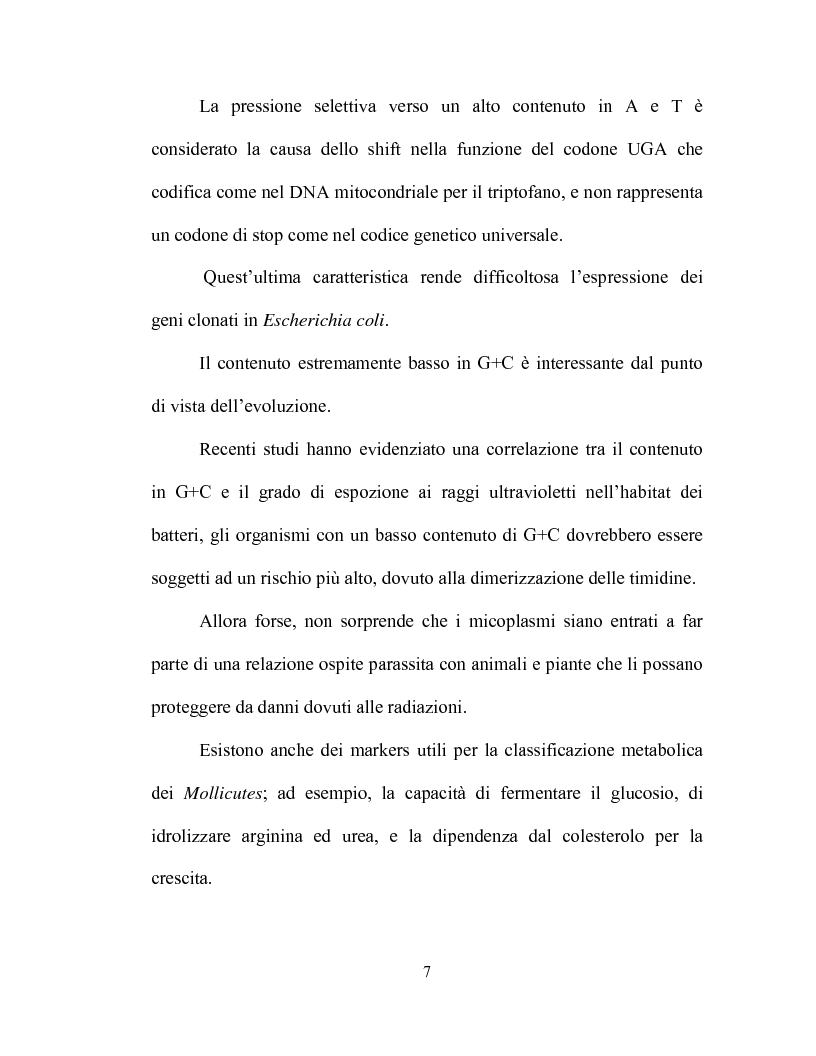 Anteprima della tesi: Uso delle mcs4 e lppa PCRs per la differenziazione molecolare di Mycoplasma capricolum subsp. capricolum e Mycoplasma mycoides subsp. mycoides LC, Pagina 5