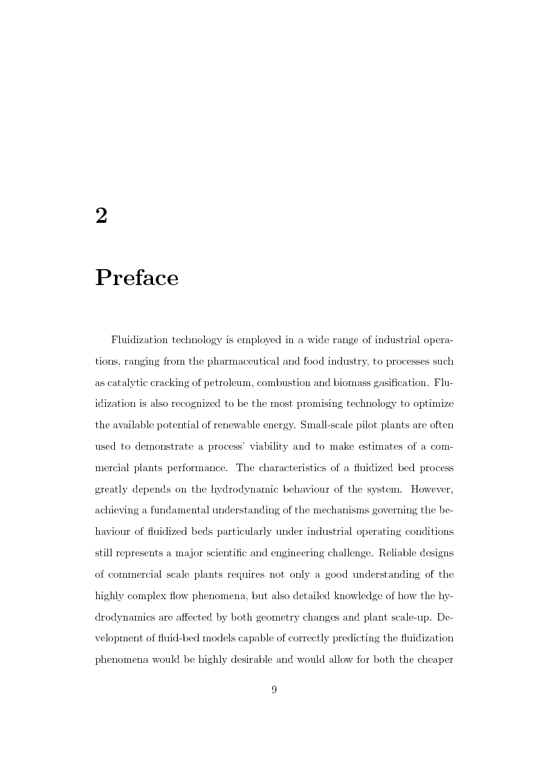 Anteprima della tesi: CFD Modelling of Fluidized Bed Reactors, Pagina 2