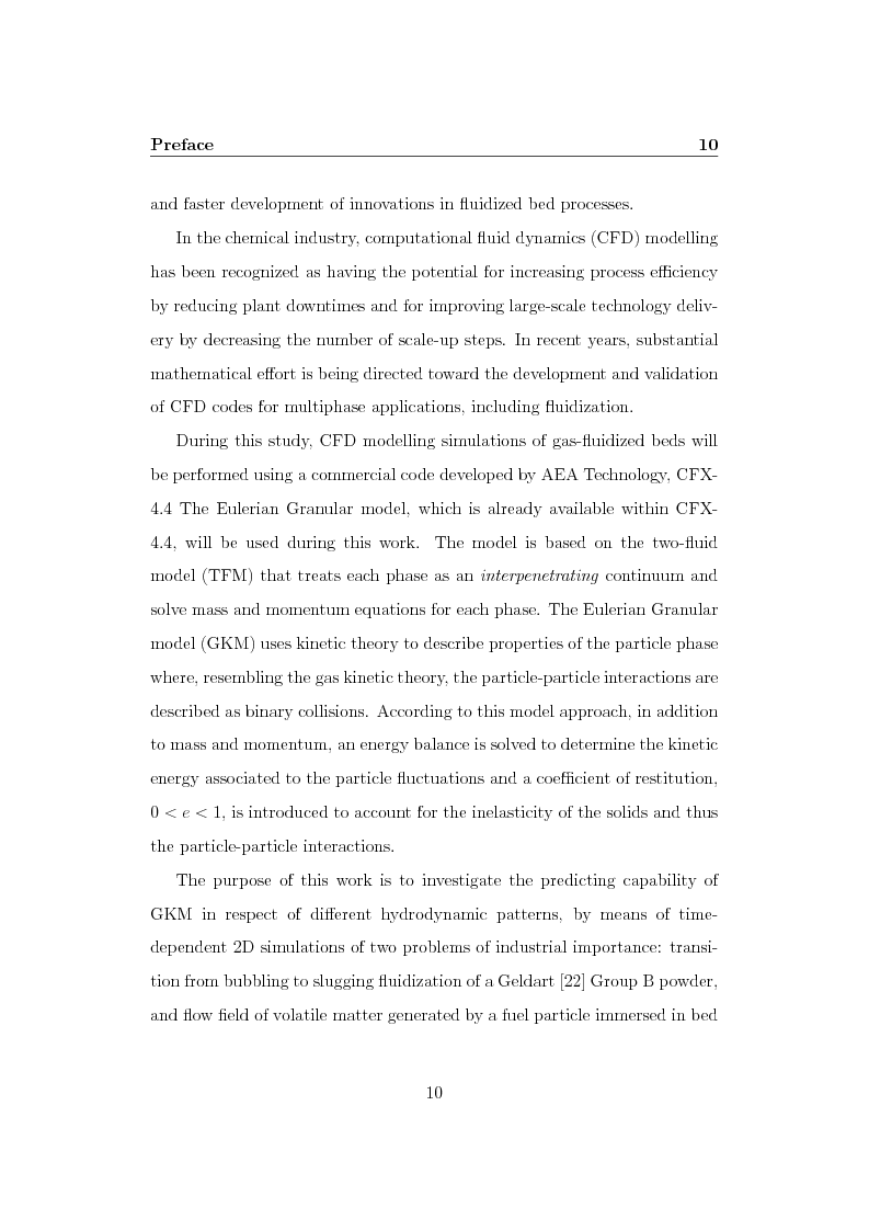 Anteprima della tesi: CFD Modelling of Fluidized Bed Reactors, Pagina 3