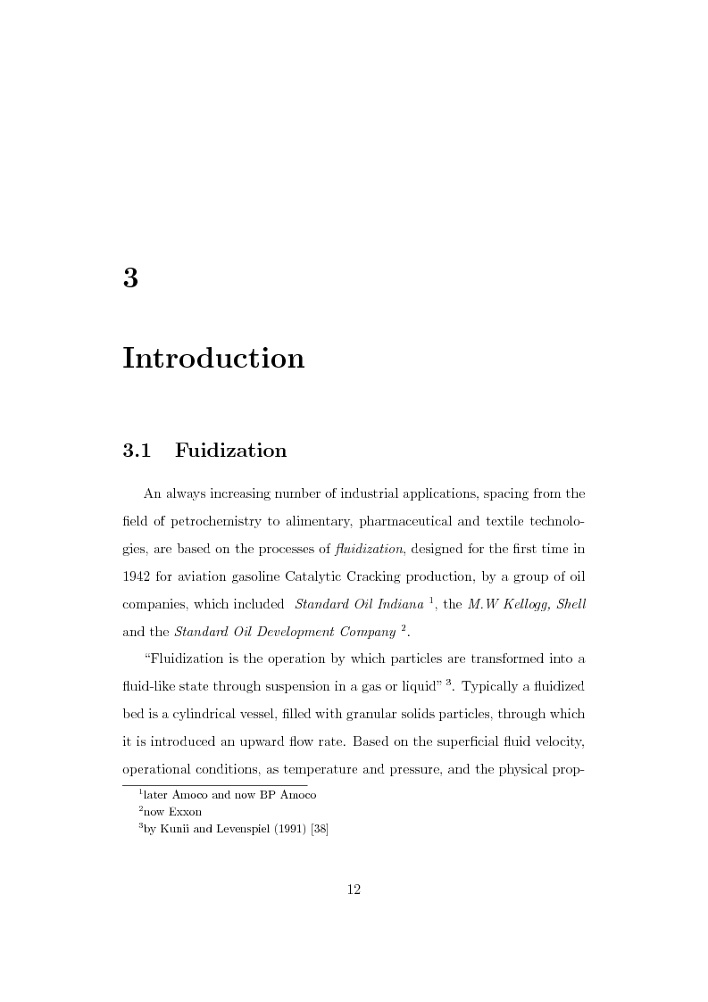Anteprima della tesi: CFD Modelling of Fluidized Bed Reactors, Pagina 5