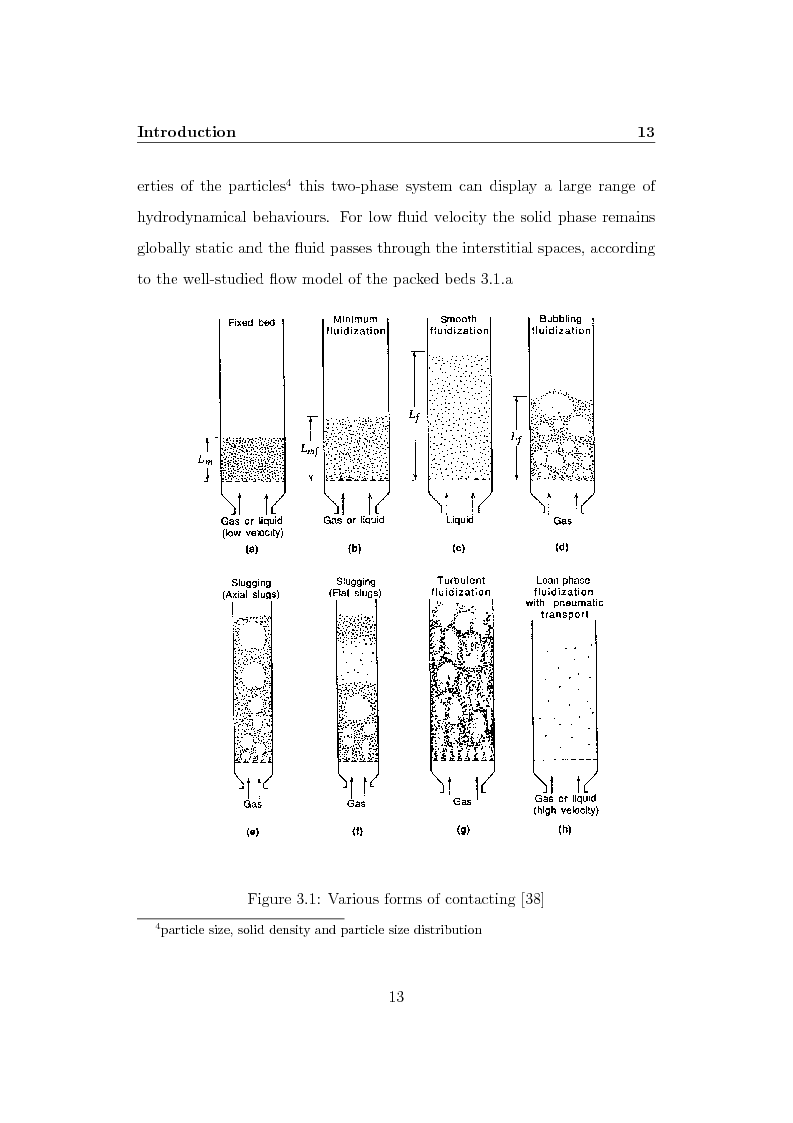 Anteprima della tesi: CFD Modelling of Fluidized Bed Reactors, Pagina 6