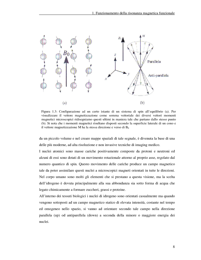 Anteprima della tesi: Un nuovo approccio di utilizzo della trasformata wavelet ridondante per l'analisi dei dati fMRI, Pagina 6