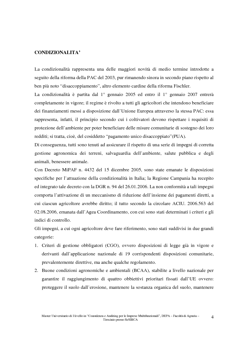 Anteprima della tesi: Redazione di un protocollo iniziale e principi di bilancio globale per la consulenza aziendale, Pagina 2