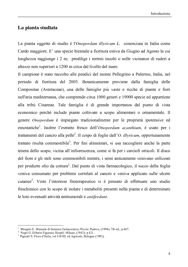 Anteprima della tesi: Metaboliti secondari da Onopordum Illyricum, Pagina 2