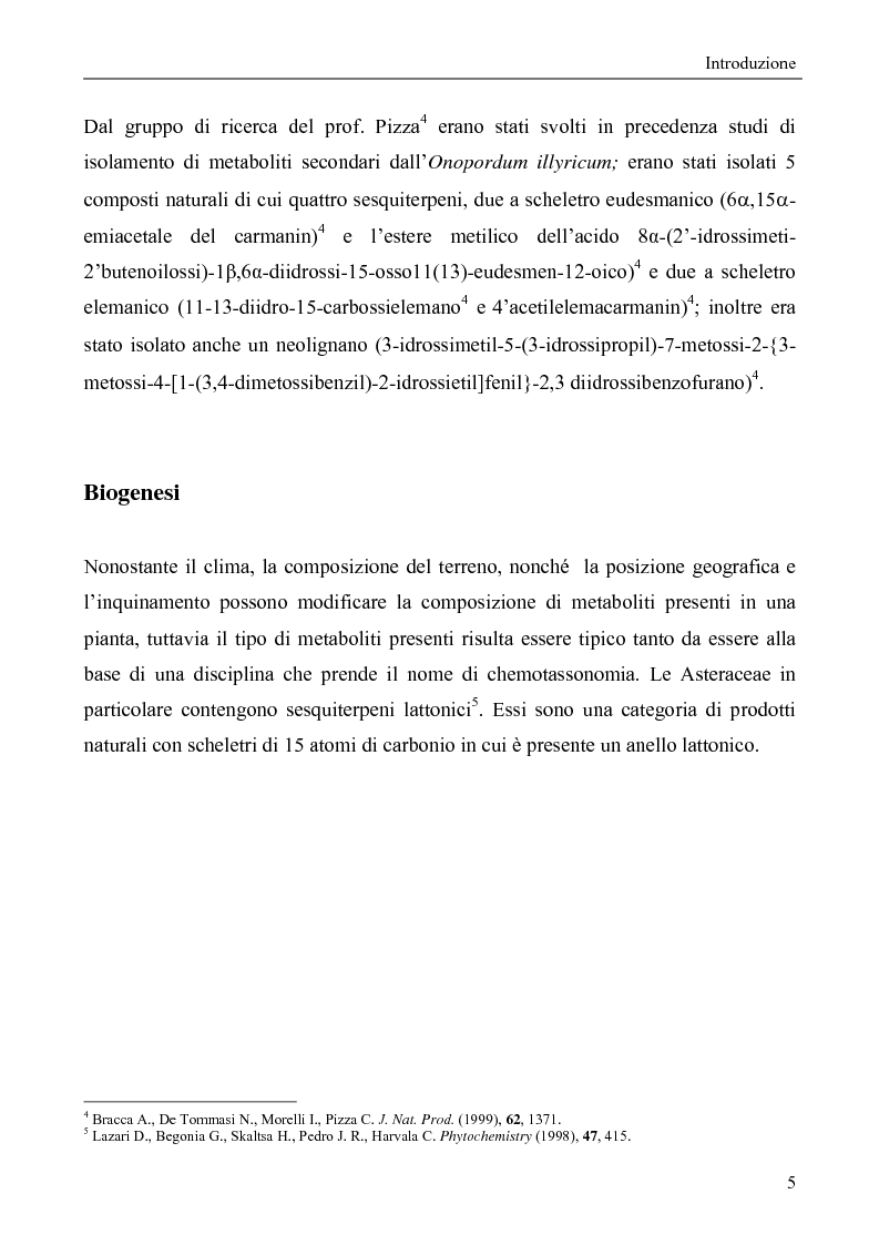Anteprima della tesi: Metaboliti secondari da Onopordum Illyricum, Pagina 3