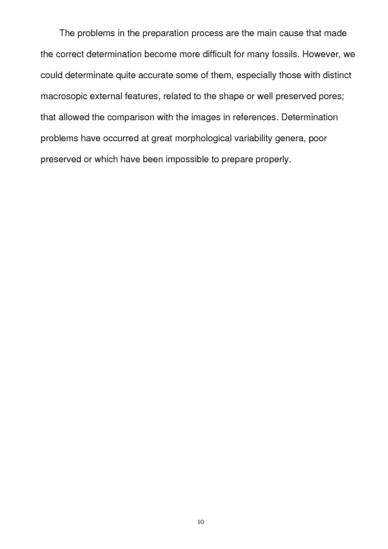 Anteprima della tesi: Paleoecology of Upper Jurassic Sponge Deposits in Western Central Dobrogea, Pagina 4