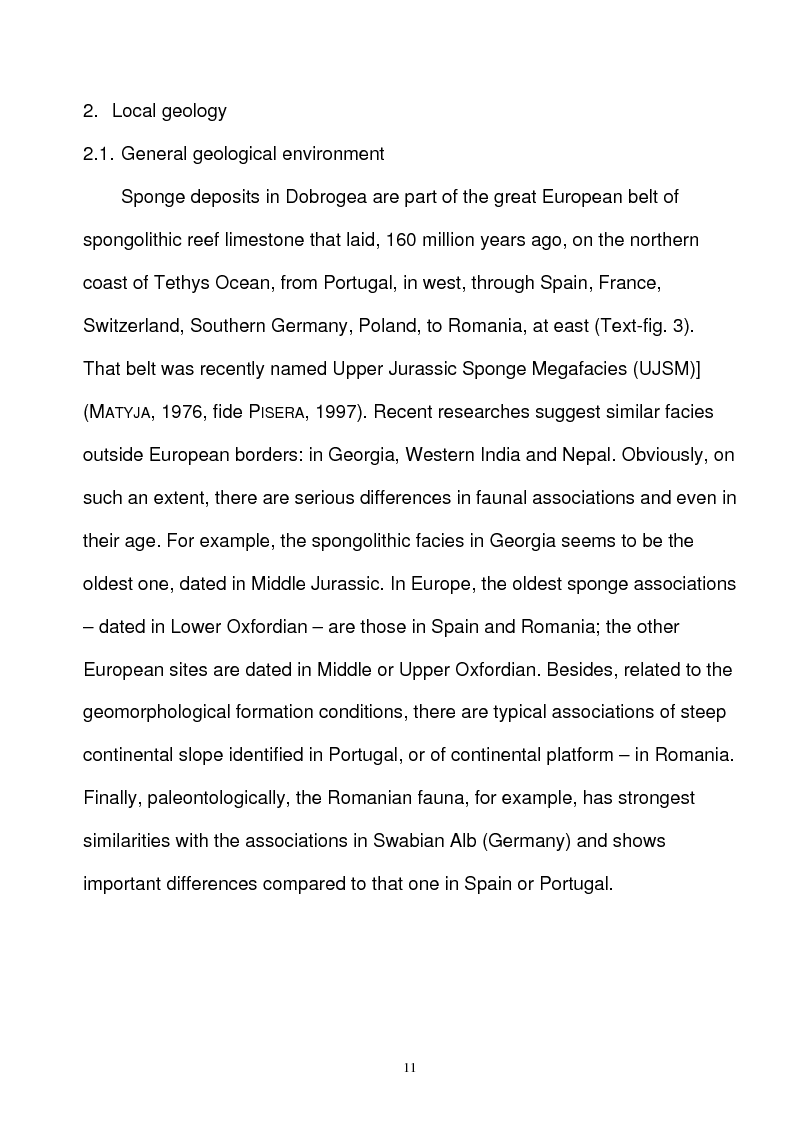 Anteprima della tesi: Paleoecology of Upper Jurassic Sponge Deposits in Western Central Dobrogea, Pagina 5