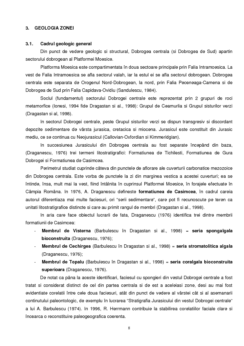 Anteprima della tesi: Faciesul cu spongieri din vestul Dobrogei centrale in Jurasicul superior - interpretari paleoecologice, Pagina 3
