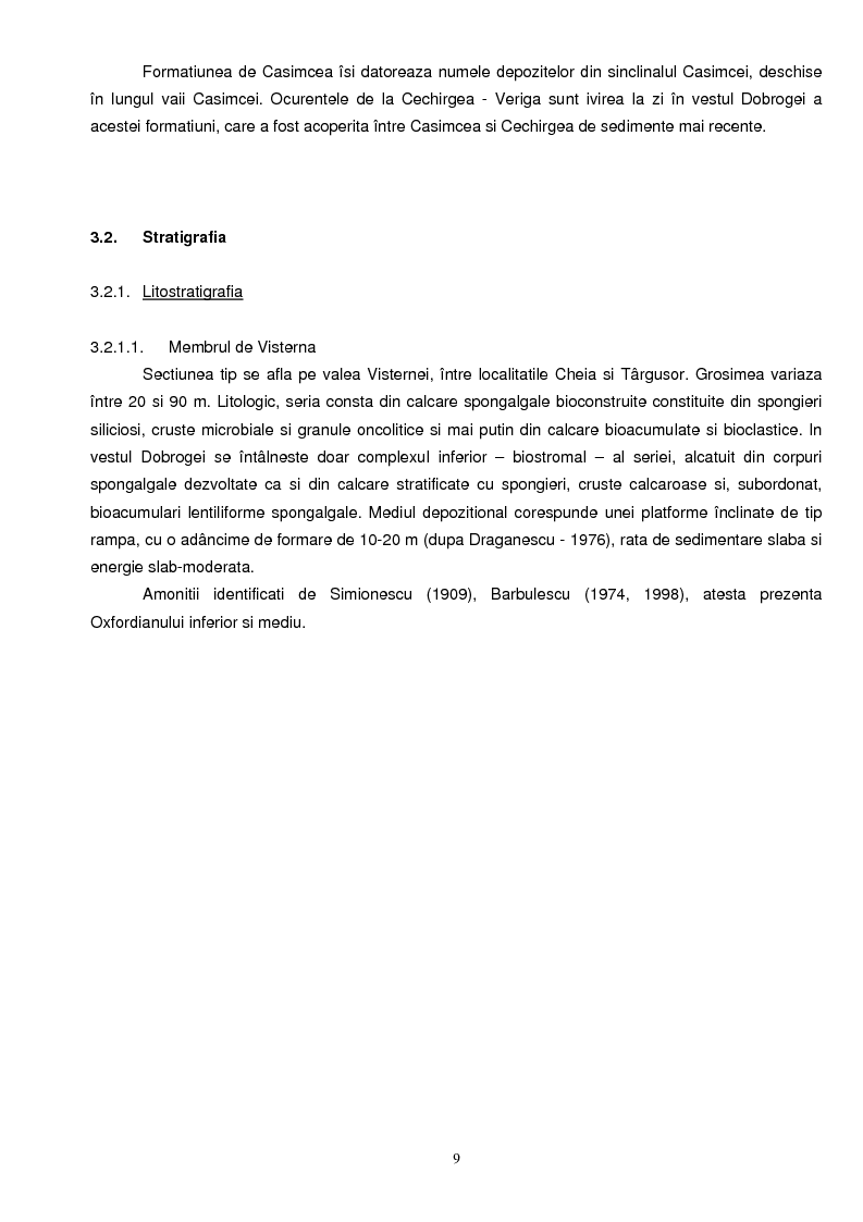 Anteprima della tesi: Faciesul cu spongieri din vestul Dobrogei centrale in Jurasicul superior - interpretari paleoecologice, Pagina 4
