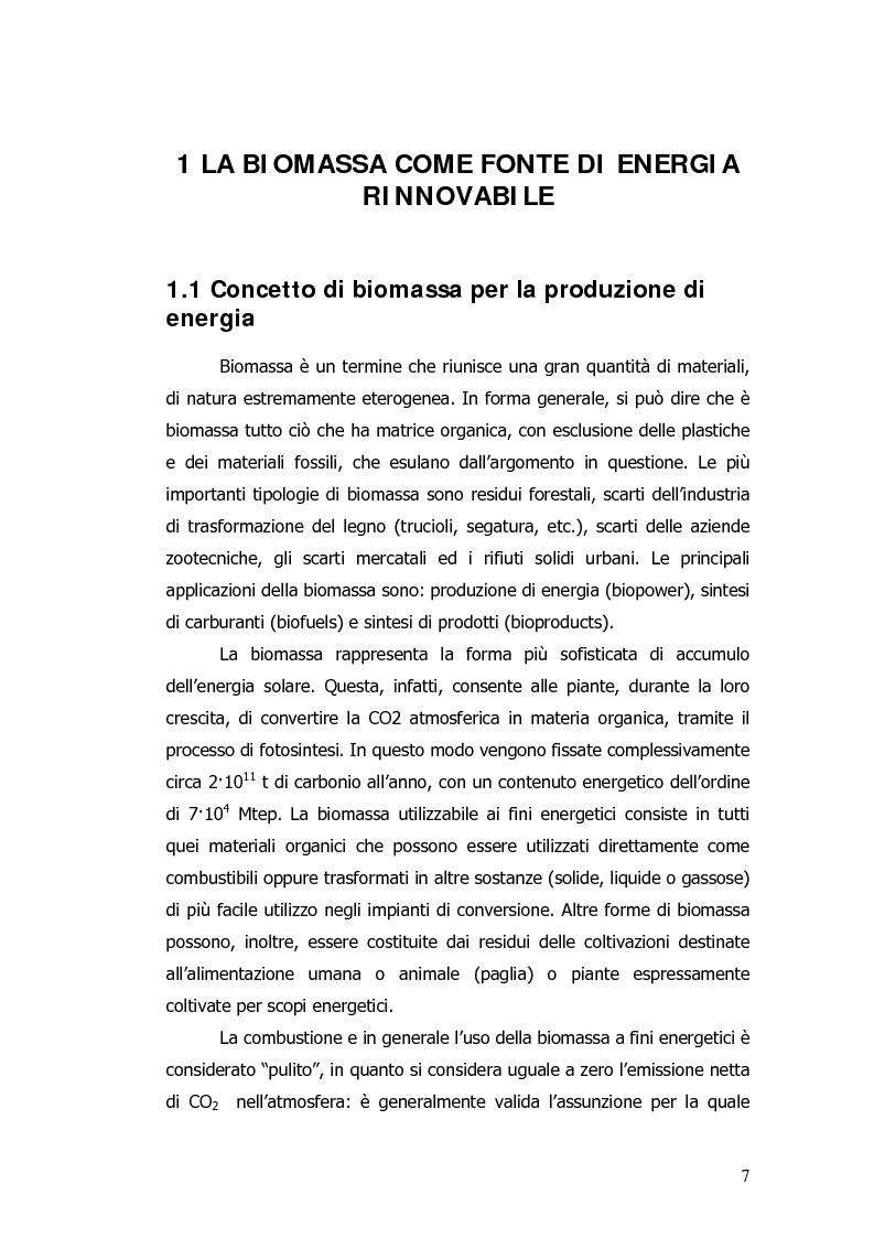 Anteprima della tesi: Valorizzazione energetica di biomassa in un impianto a celle a combustibile, Pagina 3