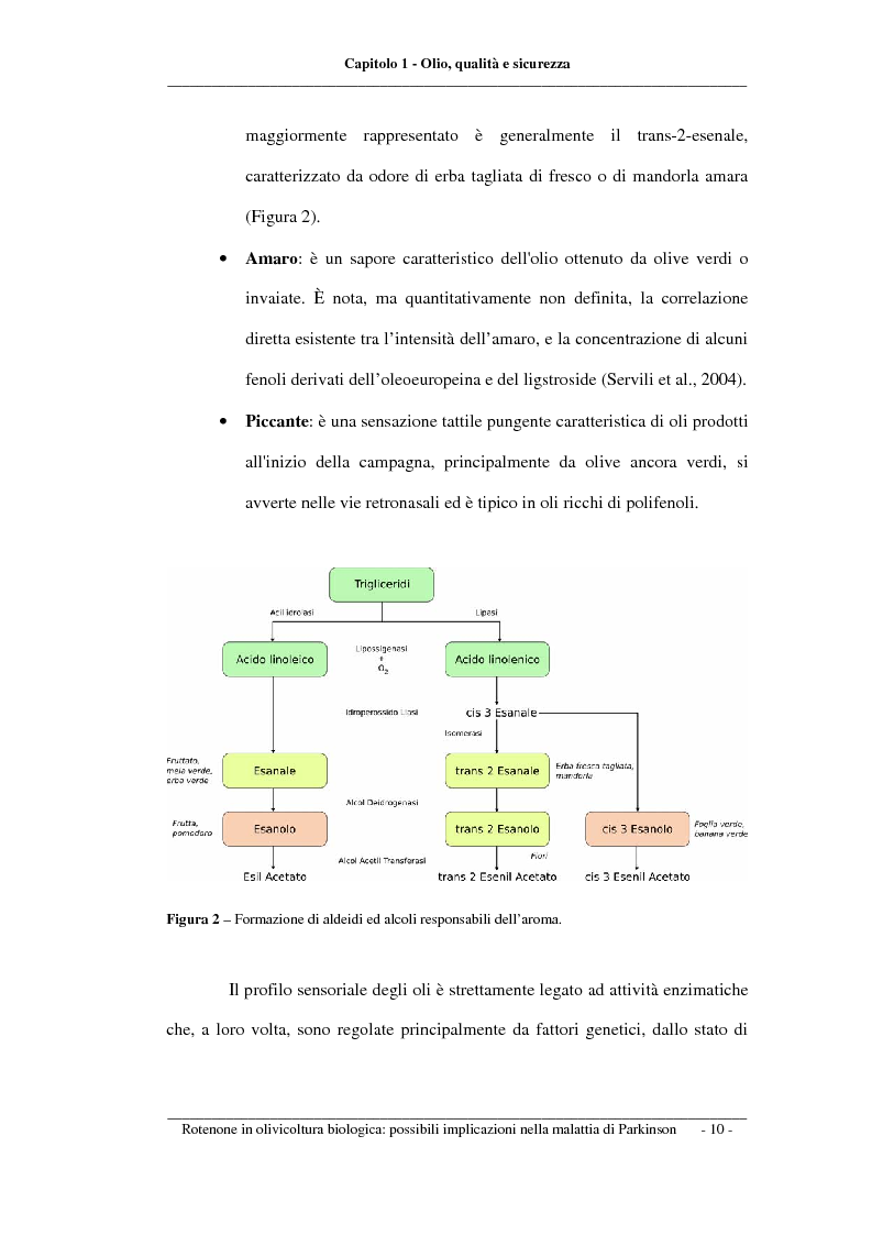 Anteprima della tesi: Rotenone nell'olivicoltura biologica: possibili implicazioni nella malattia di Parkinson, Pagina 10