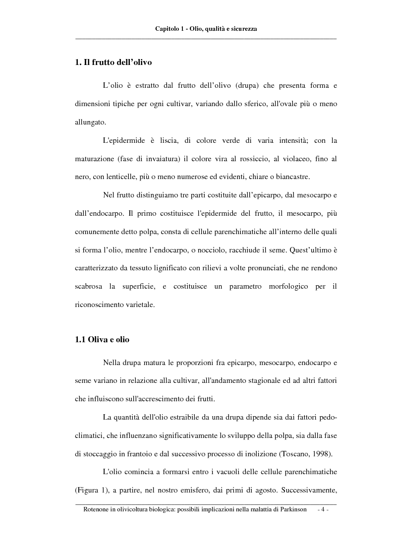 Anteprima della tesi: Rotenone nell'olivicoltura biologica: possibili implicazioni nella malattia di Parkinson, Pagina 4