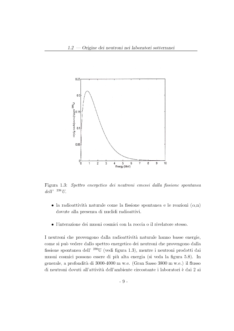 Anteprima della tesi: Studio del flusso di neutroni indotto dai muoni cosmici nei LNGS con l'esperimento LVD, Pagina 9