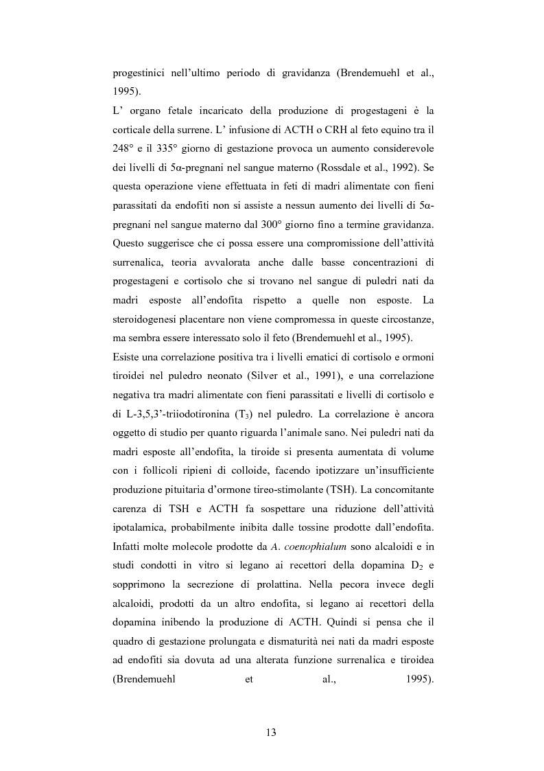 Anteprima della tesi: Andamento dei livelli plasmatici di ACTH e cortisolo nel puledro neonato setticemico, Pagina 11