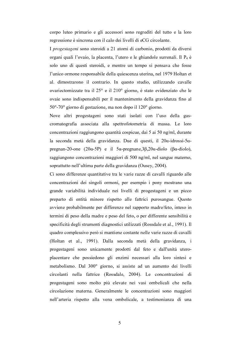Anteprima della tesi: Andamento dei livelli plasmatici di ACTH e cortisolo nel puledro neonato setticemico, Pagina 3