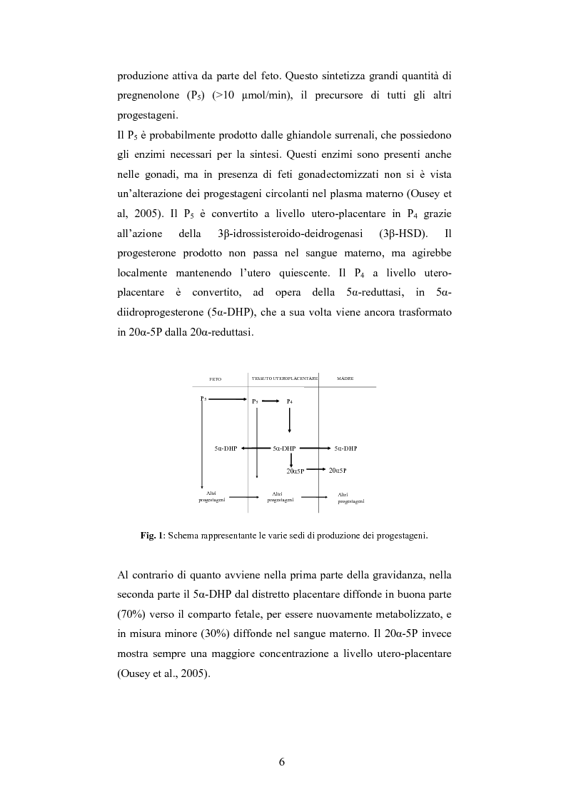Anteprima della tesi: Andamento dei livelli plasmatici di ACTH e cortisolo nel puledro neonato setticemico, Pagina 4