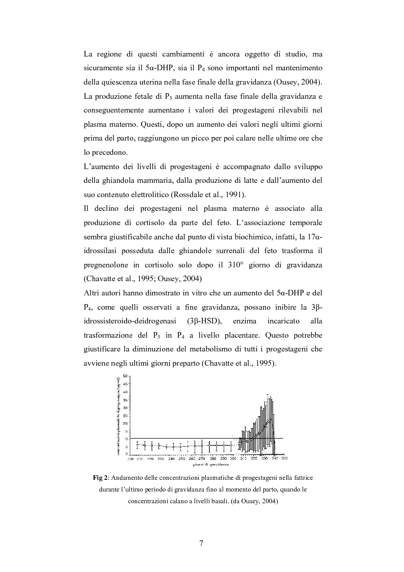 Anteprima della tesi: Andamento dei livelli plasmatici di ACTH e cortisolo nel puledro neonato setticemico, Pagina 5
