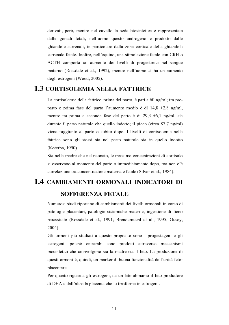 Anteprima della tesi: Andamento dei livelli plasmatici di ACTH e cortisolo nel puledro neonato setticemico, Pagina 9