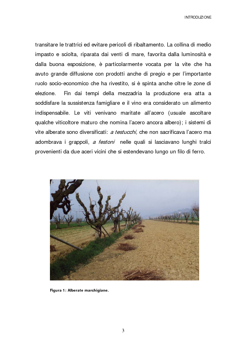 Anteprima della tesi: Stato e criteri di gestione del parco macchine in un campione di aziende nella valle dell'Aso, Pagina 3