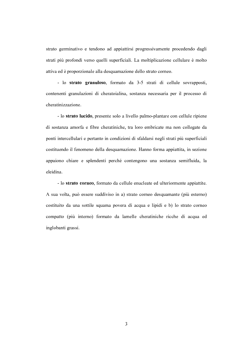 Anteprima della tesi: La pelle ed il sole: le nuove soluzioni cosmetiche per la protezione dai raggi UVA/UVB, Pagina 3
