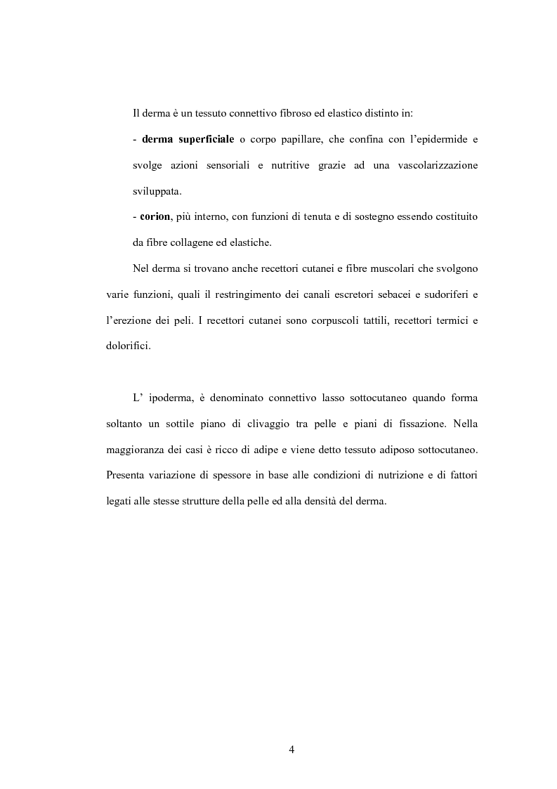 Anteprima della tesi: La pelle ed il sole: le nuove soluzioni cosmetiche per la protezione dai raggi UVA/UVB, Pagina 4