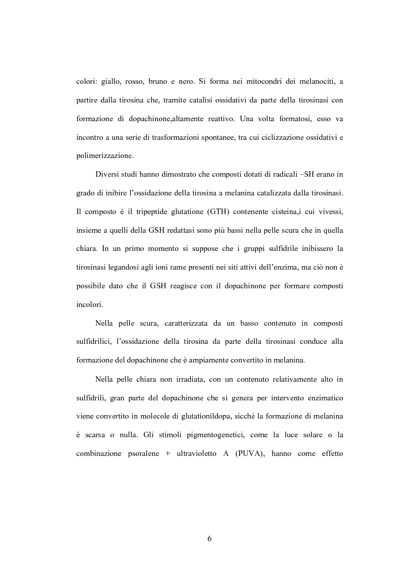 Anteprima della tesi: La pelle ed il sole: le nuove soluzioni cosmetiche per la protezione dai raggi UVA/UVB, Pagina 6